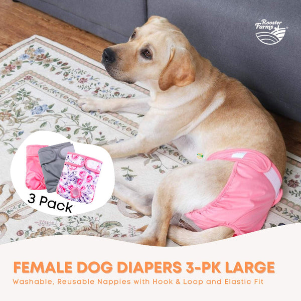 Rooster Farms Female Dog Diapers Large 3Pk Washable Reusable Nappies Hook/Loop Dog Clothing & Shoes