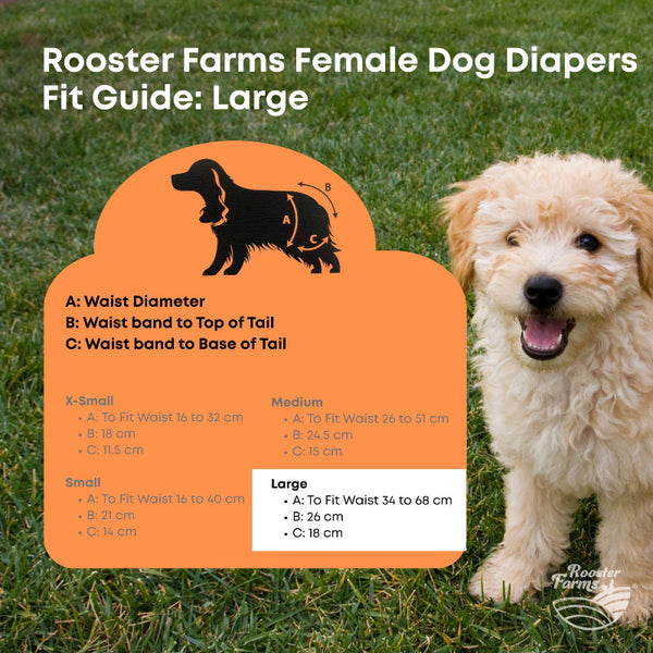 Rooster Farms Female Dog Diapers Large 3Pk Washable Reusable Nappies Hook/Loop Dog Clothing & Shoes