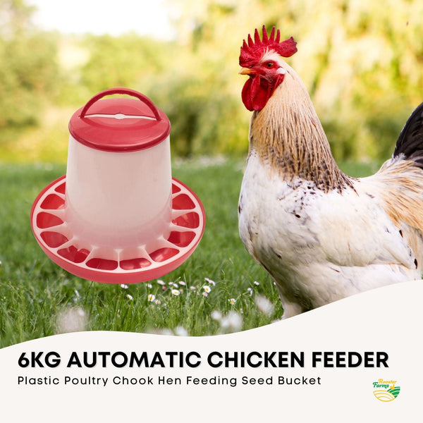 6Kg Automatic Chicken Feeder Plastic Poultry Chook Hen Feeding Seed Bucket Backyard Poultry Feeders