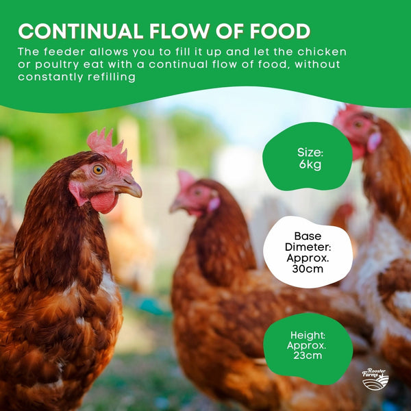 6Kg Automatic Chicken Feeder Plastic Poultry Chook Hen Feeding Seed Bucket Backyard Poultry Feeders