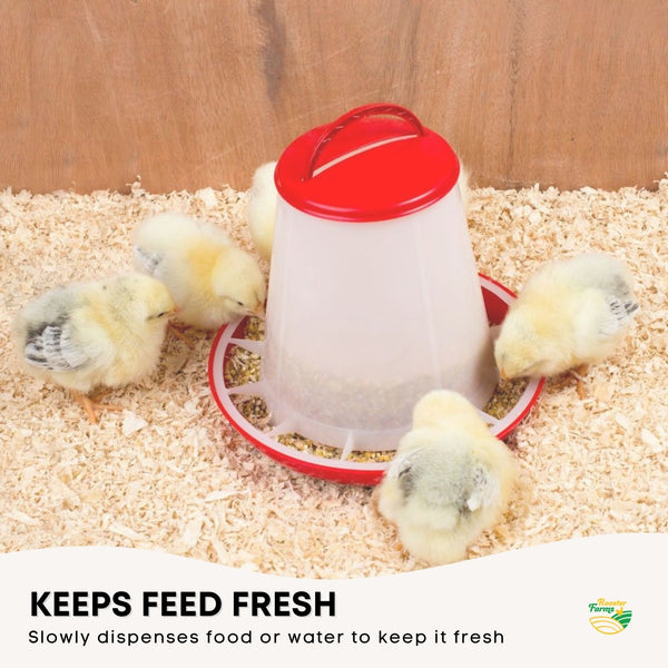 6Kg Automatic Chicken Feeder Plastic Poultry Chook Hen Feeding Seed Bucket Backyard Poultry Feeders