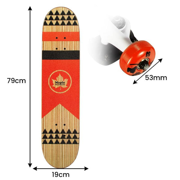Kryptonics Kids Maple Tgt 31 Inch Masters Series Popsicle Skateboard Skateboards