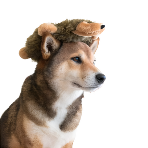 Zippy Paws Hedgehog Loopy Dog Toys