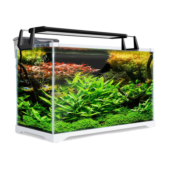Aquarium Starfire Glass Fish Tank Set With Filter Pump For Filters