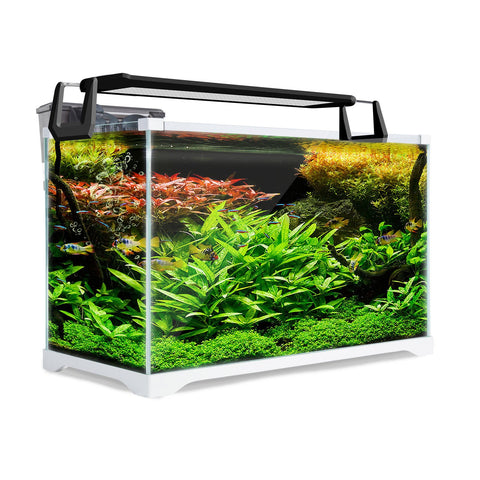 Aquarium Starfire Glass Fish Tank Set With Filter Pump For Filters