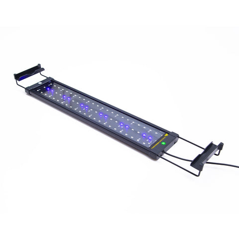 11W Aquarium Blue White Led Light For Tank 50 70Cm Lights