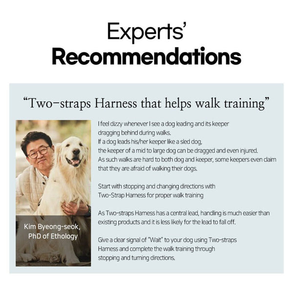 Harnesses Banhamsisun Dog Double Lined Straps Harness Adjustable Sweet Green