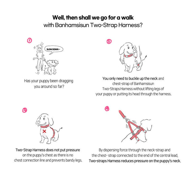 Banhamsisun Dog Double Lined Straps Harness Sweet Green Harnesses