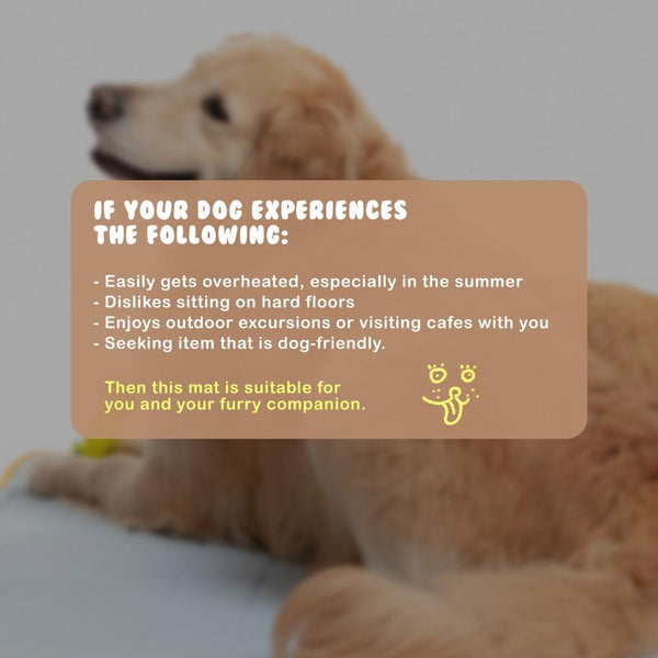 Banhamsisun Pet Dog Cooling Mat Non Slip Travel Roll Up Pad Bed Outdoor L Blue Pet Beds