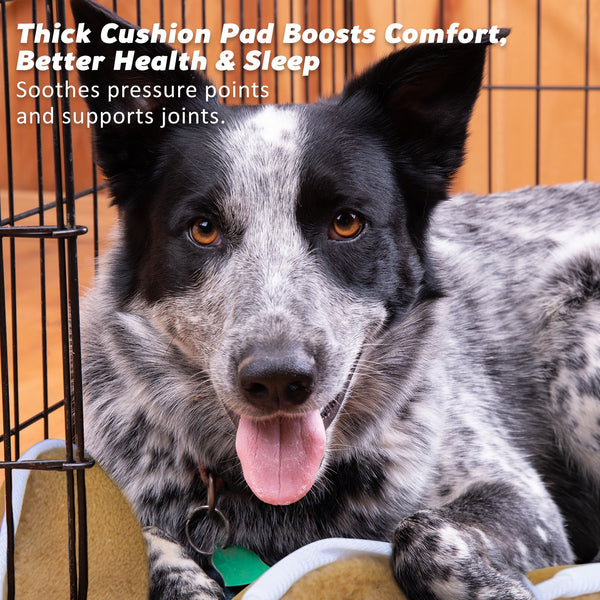 Wire Dog Cage Crate 48In With Tray + Cushion Mat Blue Cover Combo Dog Cages