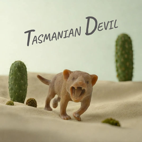 Kenisy Stretchy Squishy Australian Wildlife Gift Set Sensory Stimulation Animal Toys Sensory Toys