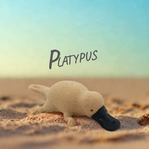 Kenisy Stretchy Squishy Australian Wildlife Gift Set Sensory Stimulation Animal Toys Sensory Toys