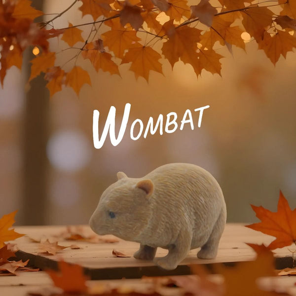 Kenisy Stretchy Squishy Australian Wildlife Gift Set Sensory Stimulation Animal Toys Sensory Toys