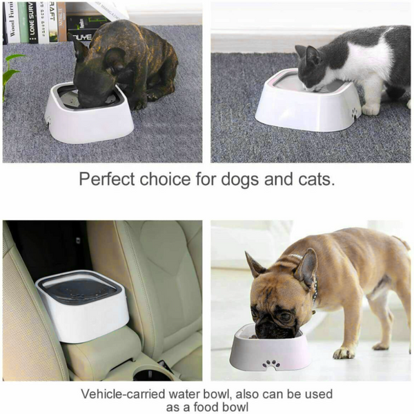 Yes4pets 1 X Medium Pet No Spill Feeder Bowl Dog Cat Puppy Slow Food Interactive Dish Dispenser Dog Bowls