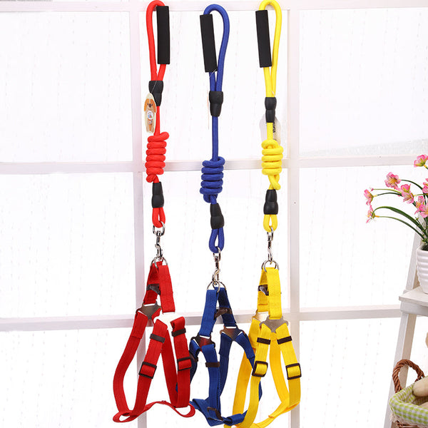 Yes4pets 2 X Medium Pet Dog Puppy Harness Collar Leash Lead Leads & Head Collars