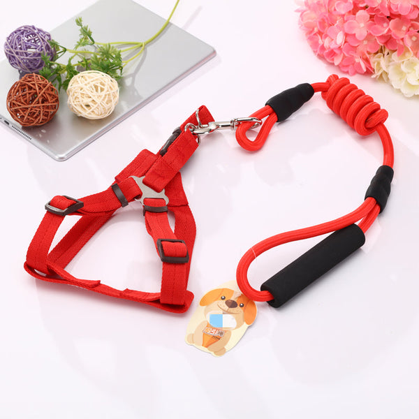 Yes4pets 2 X Medium Pet Dog Puppy Harness Collar Leash Lead Leads & Head Collars