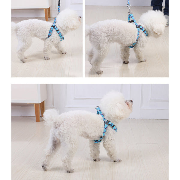 Yes4pets 2 X Medium Pet Dog Cat Puppy Kitten Rabbit Harness Collar Leash Lead 5 Colour Harnesses