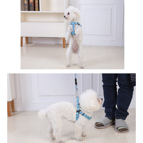 Yes4pets 2 X Medium Pet Dog Cat Puppy Kitten Rabbit Harness Collar Leash Lead 5 Colour Harnesses