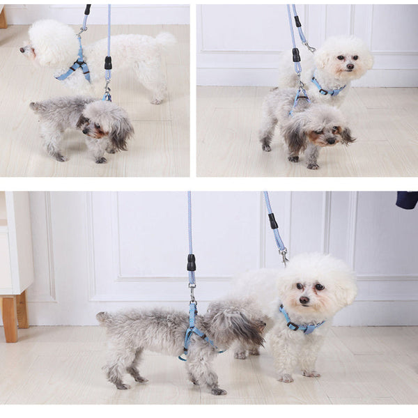 2 X Medium Pet Dog Cat Puppy Kitten Rabbit Harness Collar Leash Lead 3 Color Dog Collars