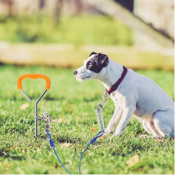 Yes4pets 2 X Pet Dog Puppy Chrome Plated Corkscrew Spiral Tie Out Stake Other Training & Obedience