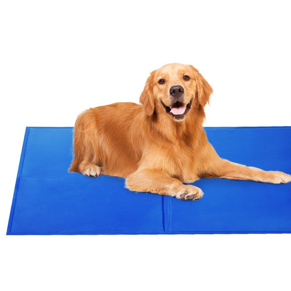 2X Pet Cooling Bed Gel Mat Dog Cat Non Toxic Pad Puppy Cold Summer 50X40 Cm Pet Beds