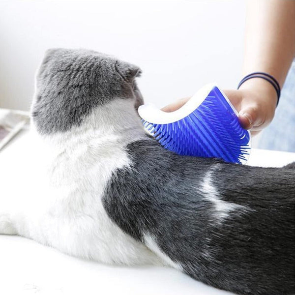 Cat Self Groomer Catnip Dog Toy Corner Wall Scratcher Comb Grooming Massage Brush Blue Pet Grooming