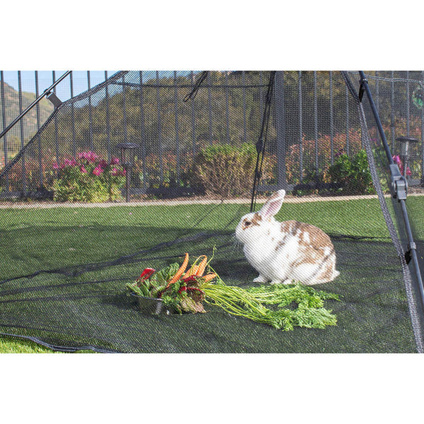 Outdoor Cat Enclosures Indoor Cats Portable Tent Tunnel Playhouse Tents Small Animals Fences & Pens