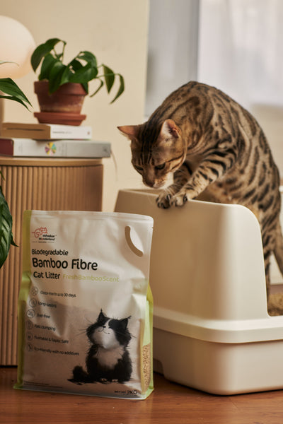 Whisker Wonderland 1 Sets Of Premium Biodegradable Bamboo Fibre 2Kg Fresh Scent Cat Litter