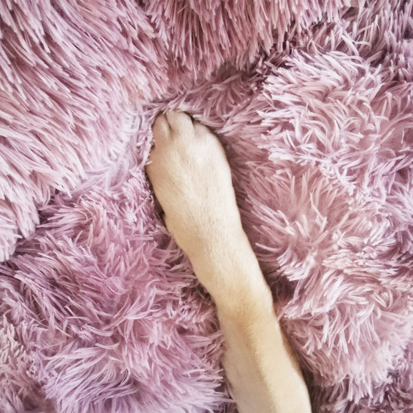 Pawfriends Cat Dog Pet Calming Bed Warm Soft Plush Round Nest Comfy Sleeping Kennel Cave Au Pet Beds