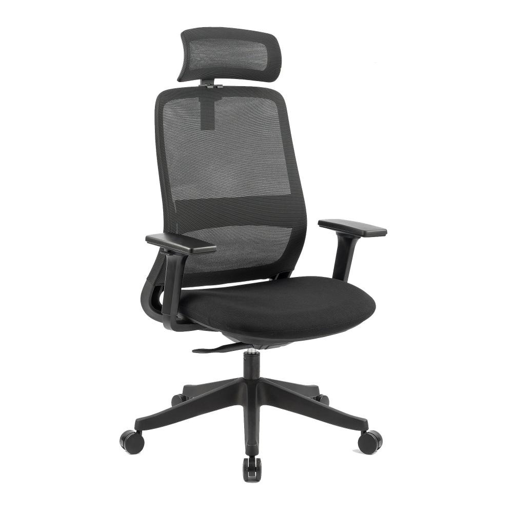 Carlie High Back Molded Foam Seat Ergonomic Office Chair In Black Office Chairs