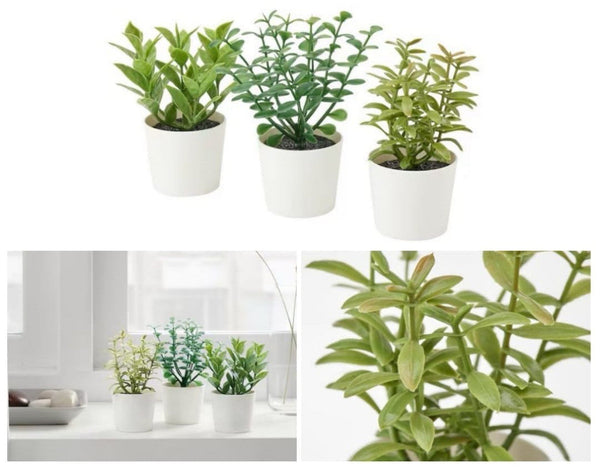 3 Pack Of Artificial Herb Potted Plants In White Plastic 5Cm Interior Decoration Artificial Plants