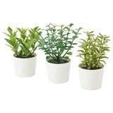 3 Pack Of Artificial Herb Potted Plants In White Plastic 5Cm Interior Decoration Artificial Plants