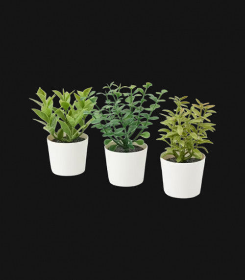 3 Pack Of Artificial Herb Potted Plants In White Plastic 5Cm Interior Decoration Artificial Plants