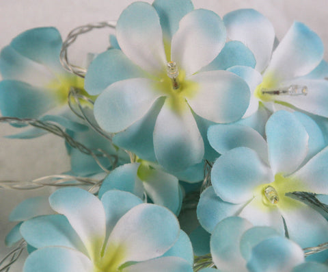 Blue Frangipani 50 Led 5M Battery Fairy Lights For Wedding Party & Home Decor Seasonal Decorations
