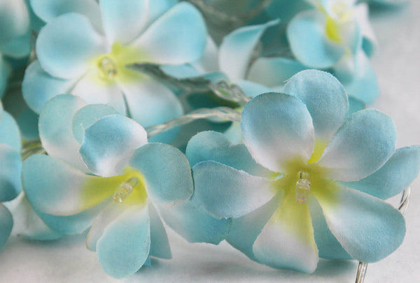 Blue Frangipani 50 Led 5M Battery Fairy Lights For Wedding Party & Home Decor Seasonal Decorations