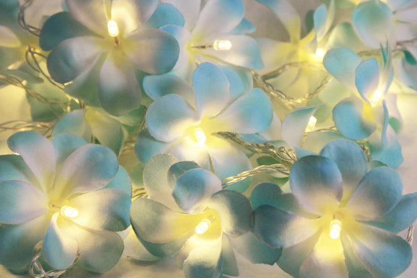 Blue Frangipani 50 Led 5M Battery Fairy Lights For Wedding Party & Home Decor Seasonal Decorations