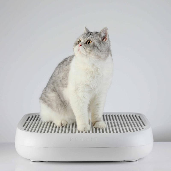 Petkit Trapper Cat Litter
