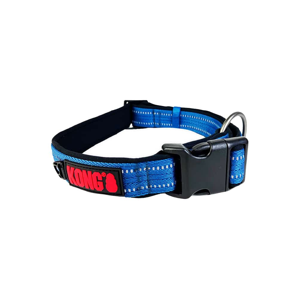 Kong Nylon Blue Collars Medium Leads & Head Collars