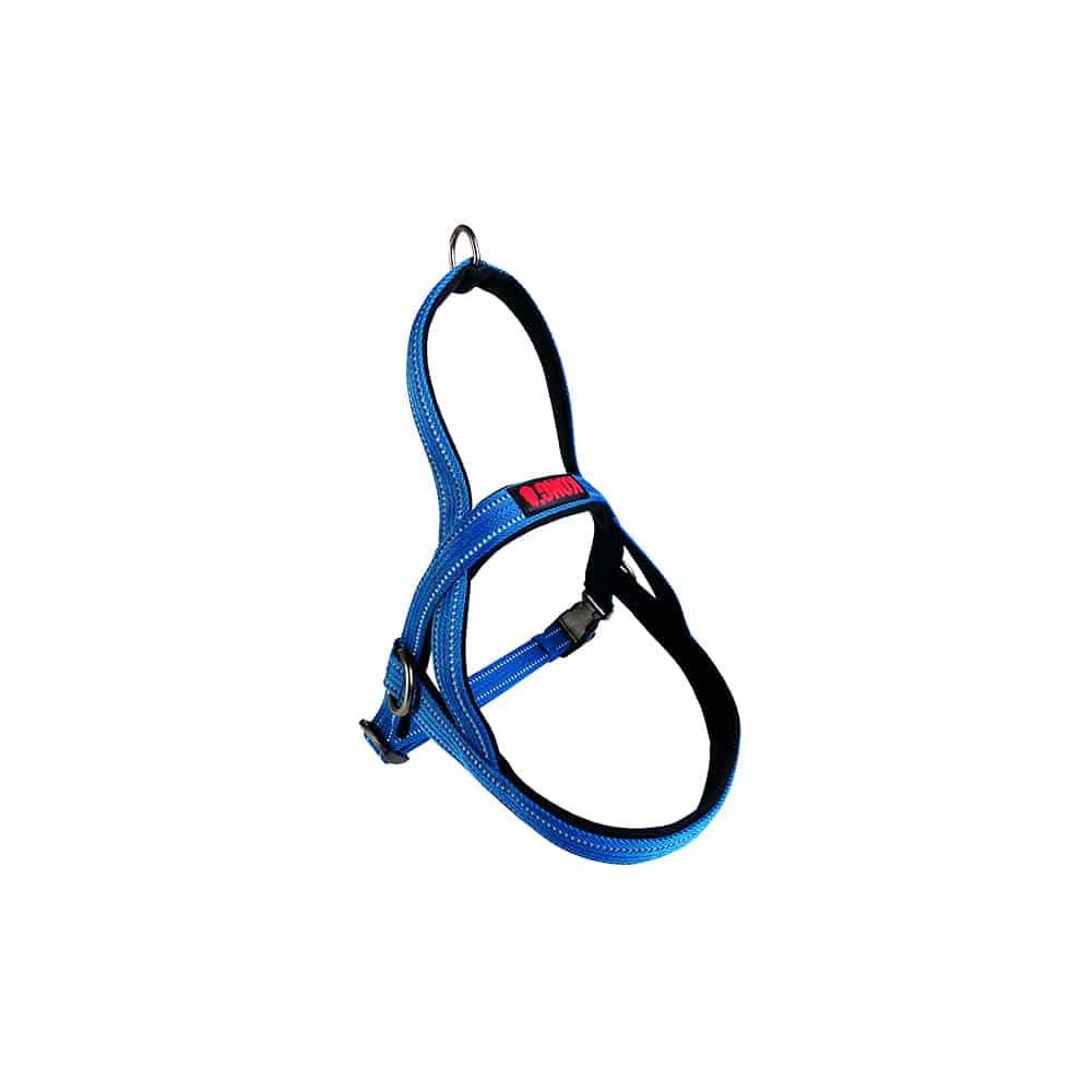 Harnesses Kong Norwegian Blue Harness Large
