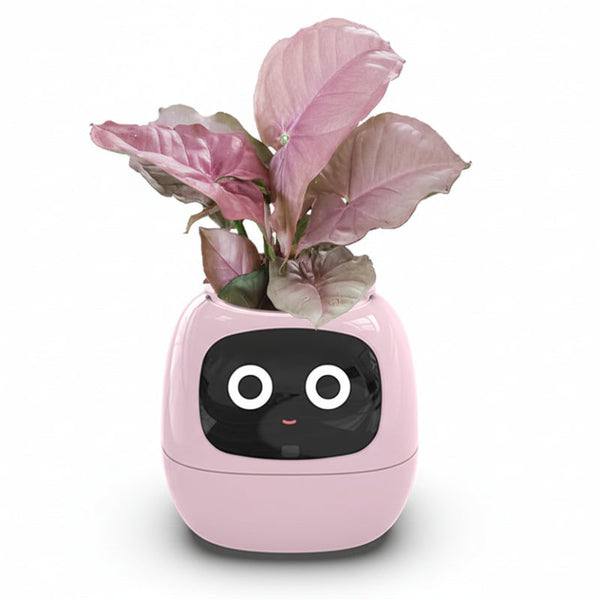 Intelligent Flower Pot Electronic Bud Maintenance Plant Assistant Fun Interactive Indoor Green Planting Monitoring Lcd Screen Display Cell Phone App C
