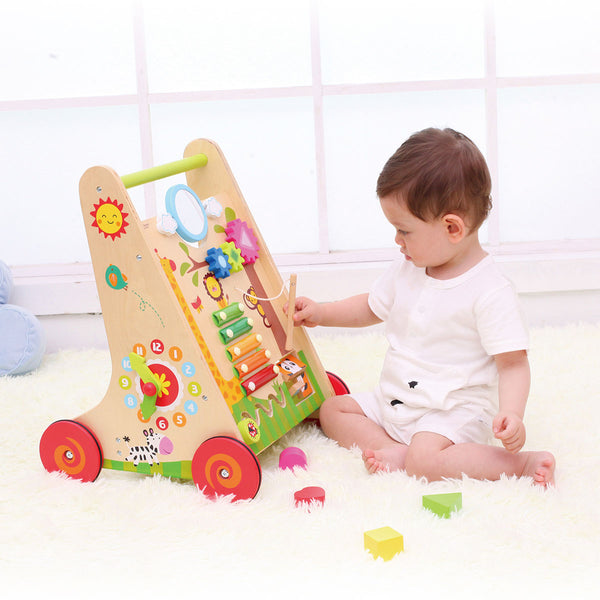 Classic World Learning Walker Activity Toys