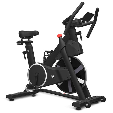 Lifespan Fitness Sm 420 Spin Bike With Automatic Magnetic Resistance Exercise Bikes