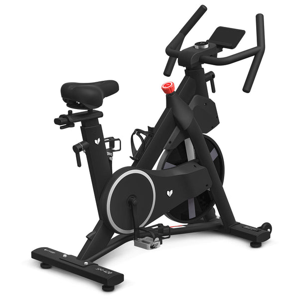 Lifespan Fitness Sm 420 Spin Bike With Automatic Magnetic Resistance Exercise Bikes