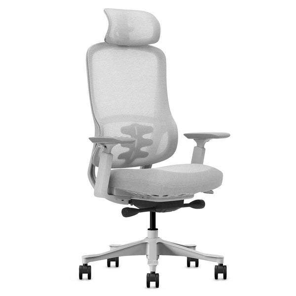 Lifespan Fitness Dm8 Ergonomic Office Desk Chair (White/Grey) Office Chairs