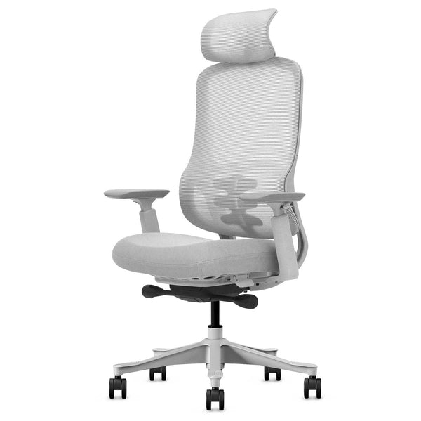 Lifespan Fitness Dm8 Ergonomic Office Desk Chair (White/Grey) Office Chairs