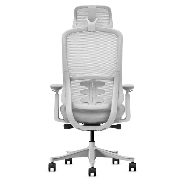 Lifespan Fitness Dm8 Ergonomic Office Desk Chair (White/Grey) Office Chairs
