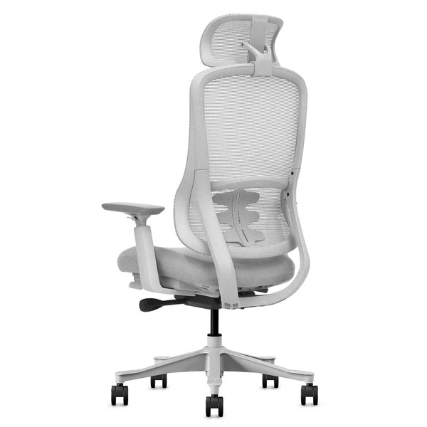 Lifespan Fitness Dm8 Ergonomic Office Desk Chair (White/Grey) Office Chairs
