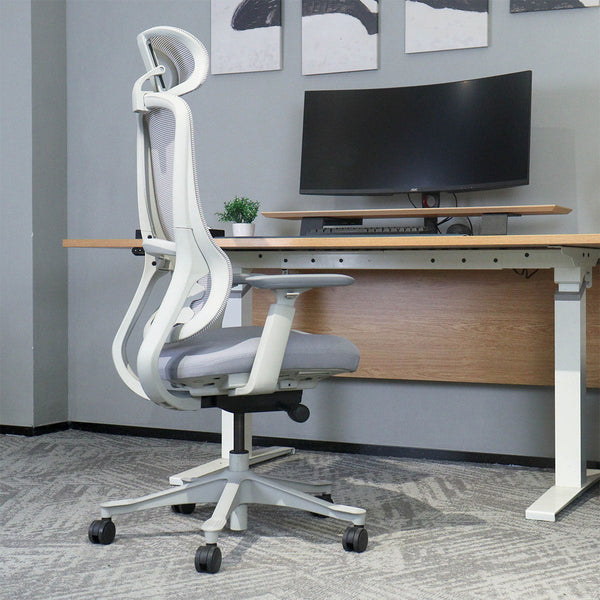 Lifespan Fitness Dm8 Ergonomic Office Desk Chair (White/Grey) Office Chairs