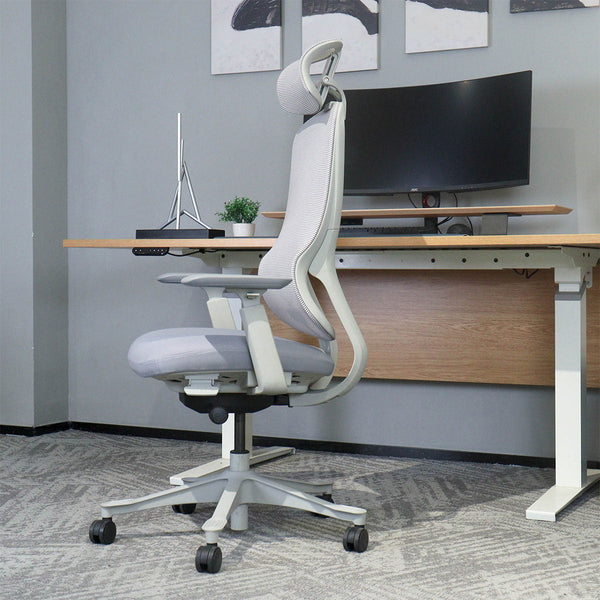 Lifespan Fitness Dm8 Ergonomic Office Desk Chair (White/Grey) Office Chairs