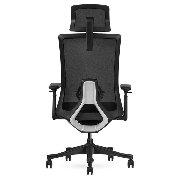 Lifespan Fitness Dm9 Ergonomic Mesh High Back Office Chair Office Chairs